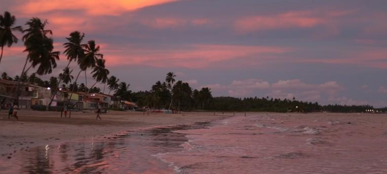 O que fazer em Maragogi, Alagoas