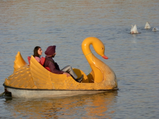 Sukuna-Lake-Chandigarh