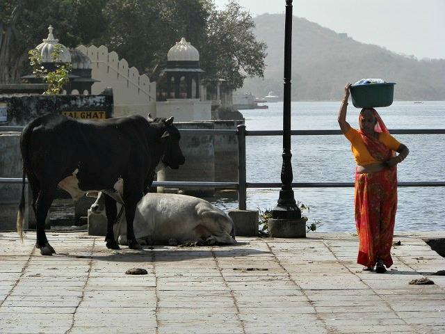 Mulher em Udaipur, Índia