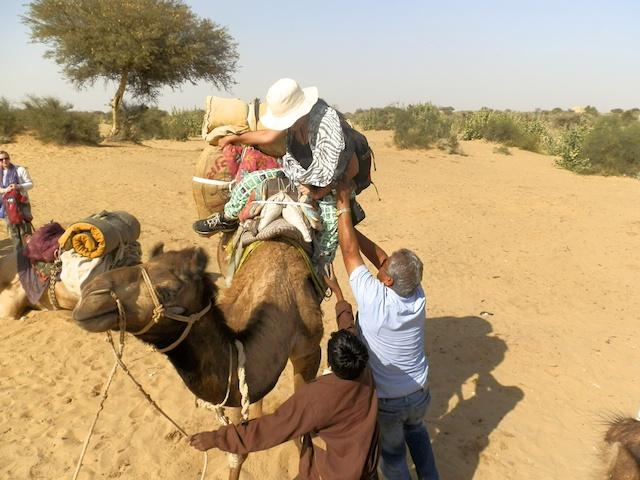 Safari de Camelo - Deserto de Thar