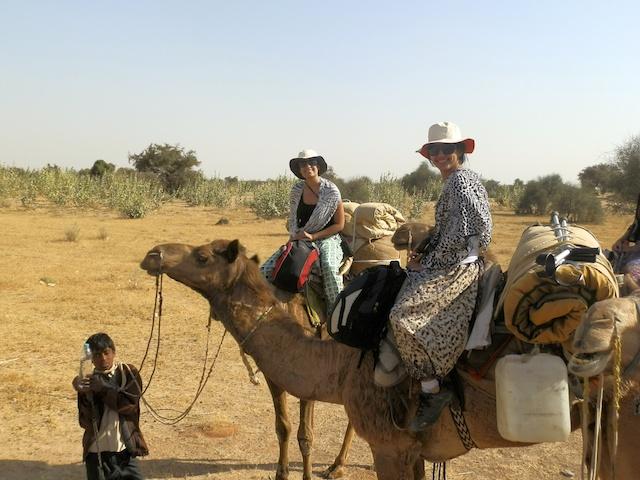 Safari de Camelo em Jaisalmer