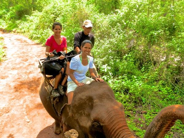 Elefante Tailandês