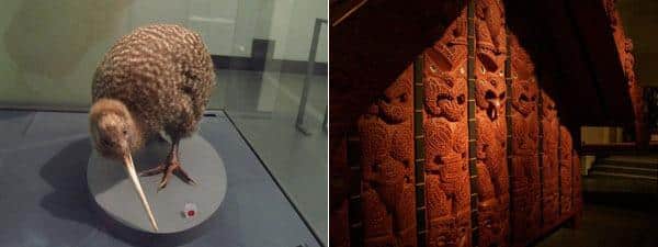 Museu de Auckland