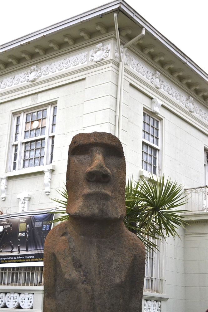 Museu Fuonk, Viña del Mar