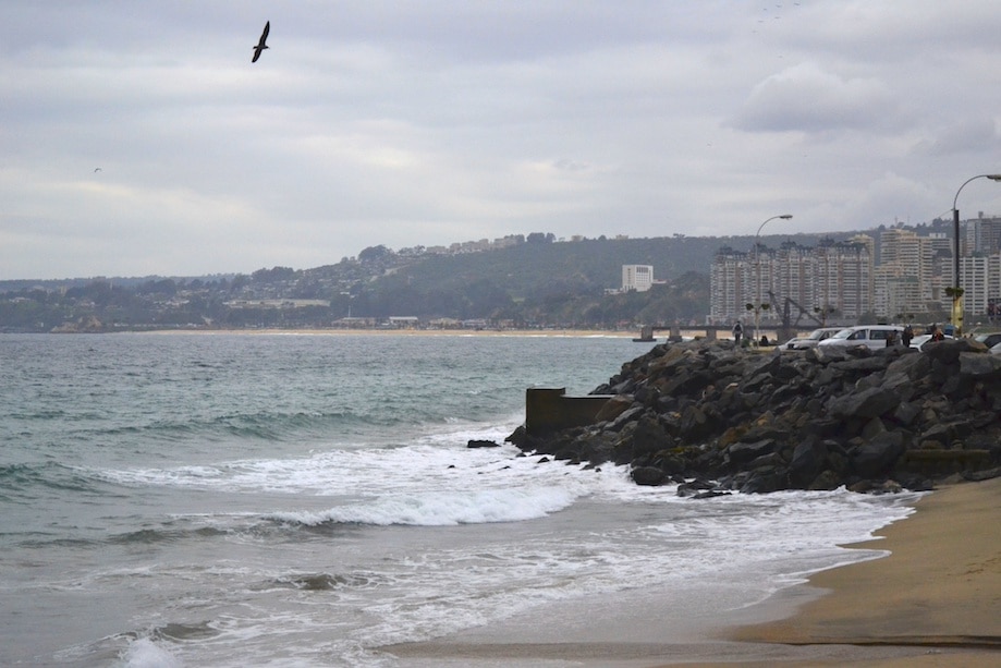 Viña del Mar - Chile