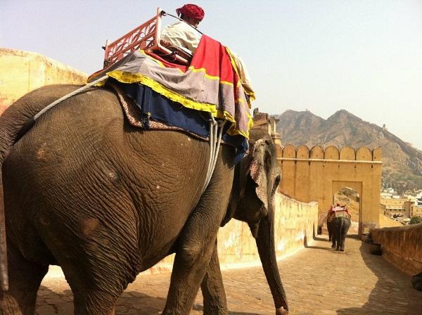 Jaipur, Índia