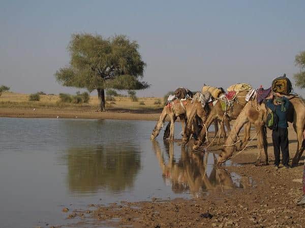 Jaisalmer, Índia