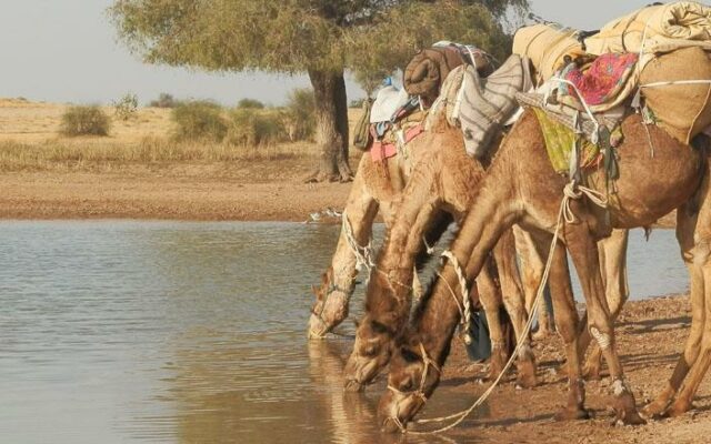 Foto de Jaisalmer, Índia.