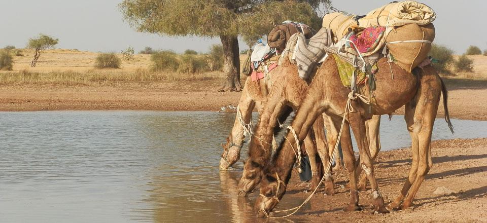 Foto de Jaisalmer, Índia.