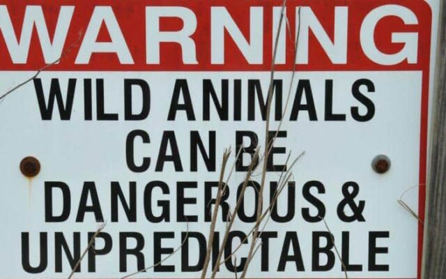 Aviso animais selvagens