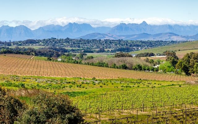 Vinícolas África do Sul