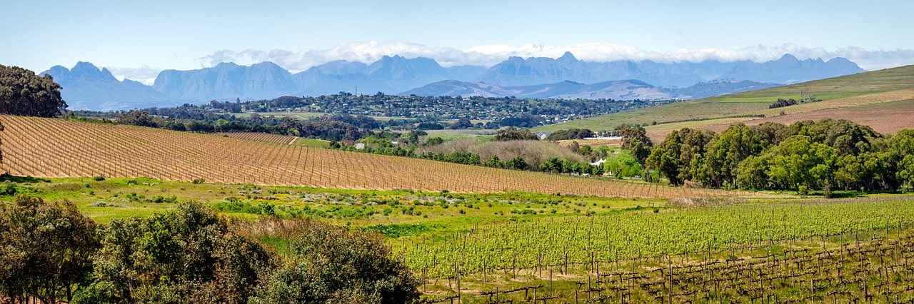 Vinícolas África do Sul