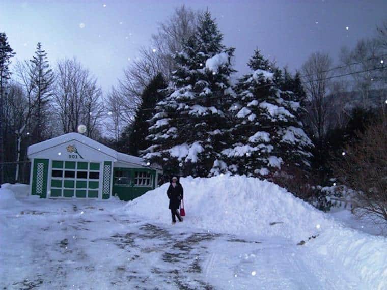 Inverno nos Estados Unidos