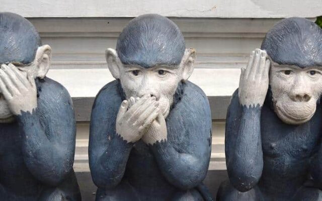 macacos
