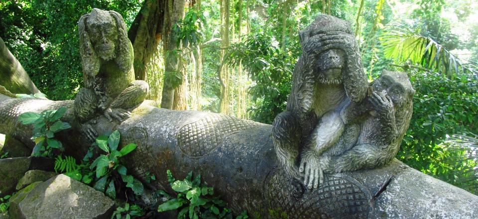 macacos pedra