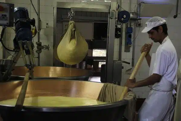 Fazendo-queijo-Parma