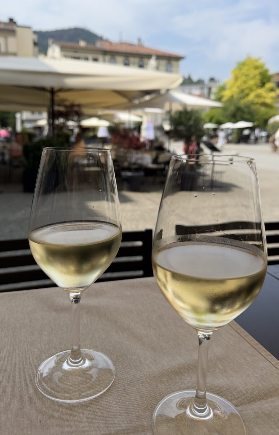 taca de vinho em como italia