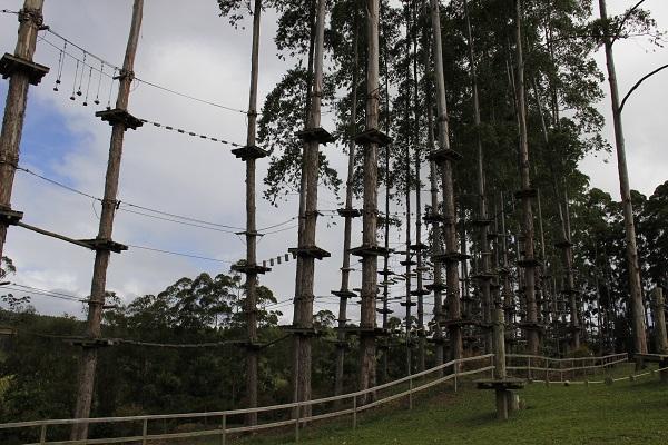 Arvorismo no Espírito Santo