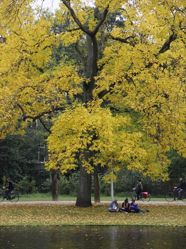 Vondelpark, Amsterdam