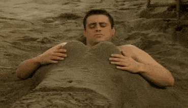 Joey enterrado na areia