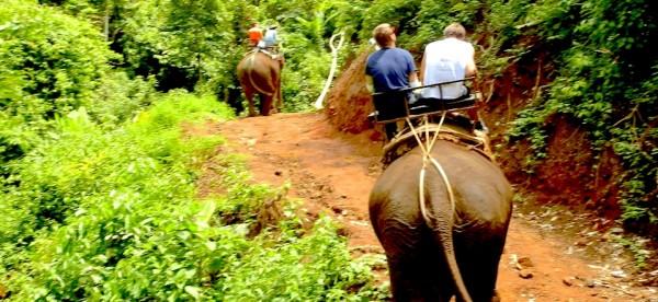 Passeio de Elefante na Tailândia