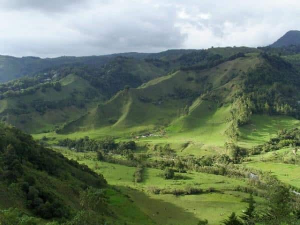 café colombia paisagem