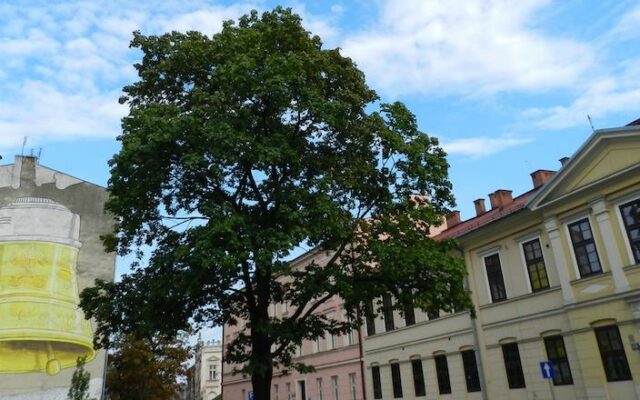 Podgórze bairro judeu na cracóvia
