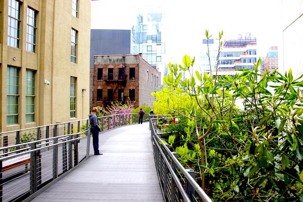 The High Line NYC