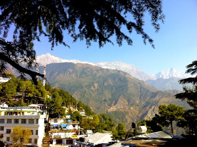 Intercâmbio Voluntário em McLeod Ganj