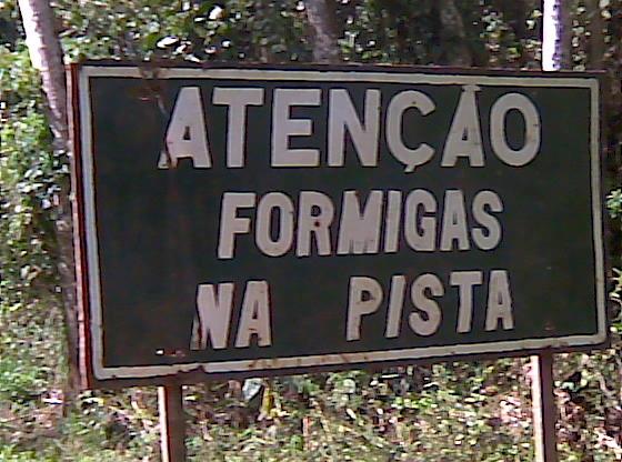 Formigas na pista