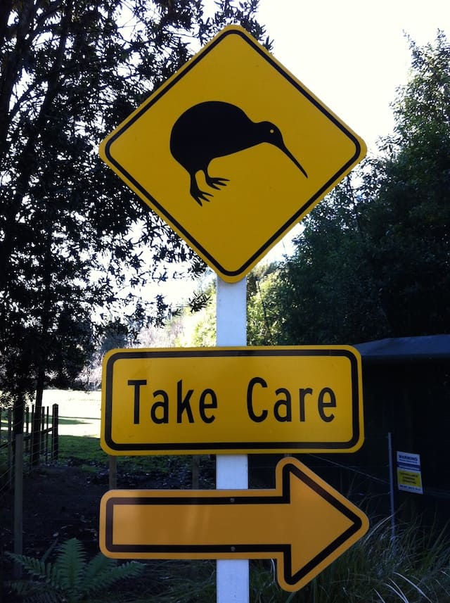 Nova Zelândia kiwi