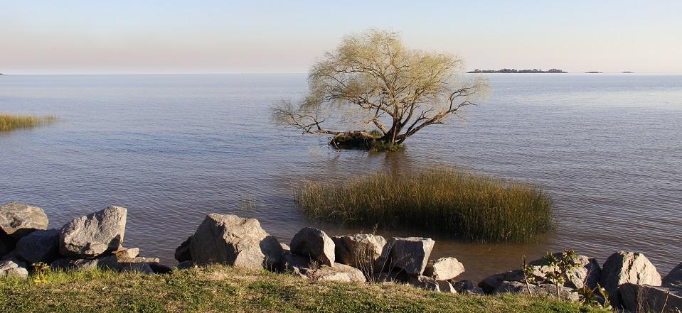 colonia del sacramento, Uruguai