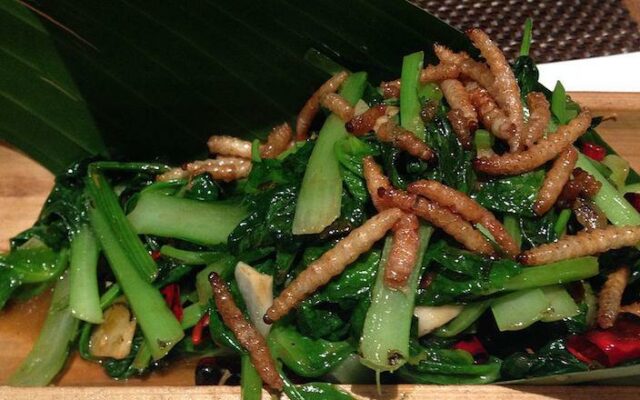 Mealworm_dish_in_a_Yunan_Restaurant,_Qingdao_China