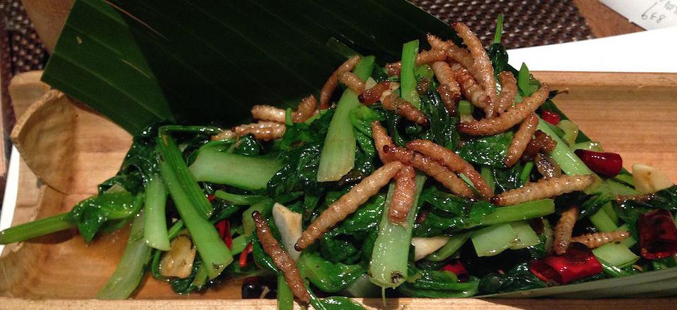 Mealworm_dish_in_a_Yunan_Restaurant,_Qingdao_China