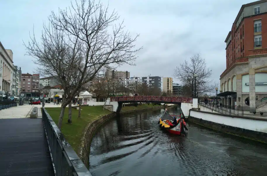 aveiro moliceiro pontes e ria