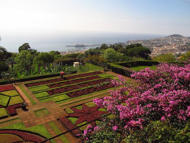 Funchal ilha da madeira