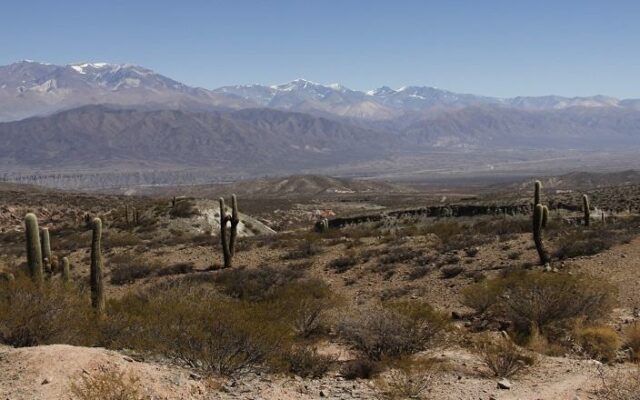 Parque Nacional los Cardones