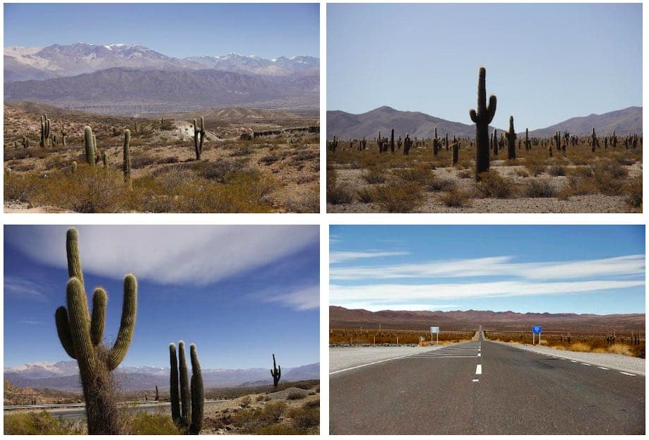 Cachi e o Parque Nacional los Cardones Argentina