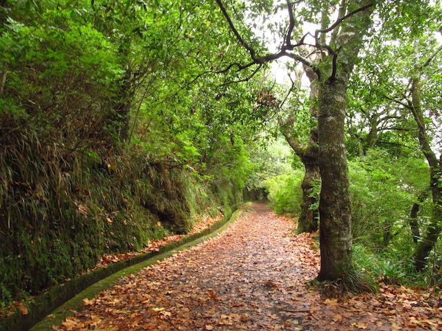 levada ilha da madeira