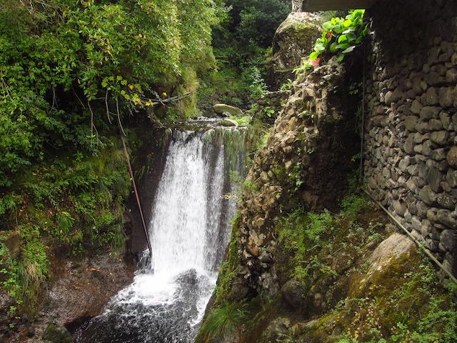 levada ribeiro frio ilha da madeira