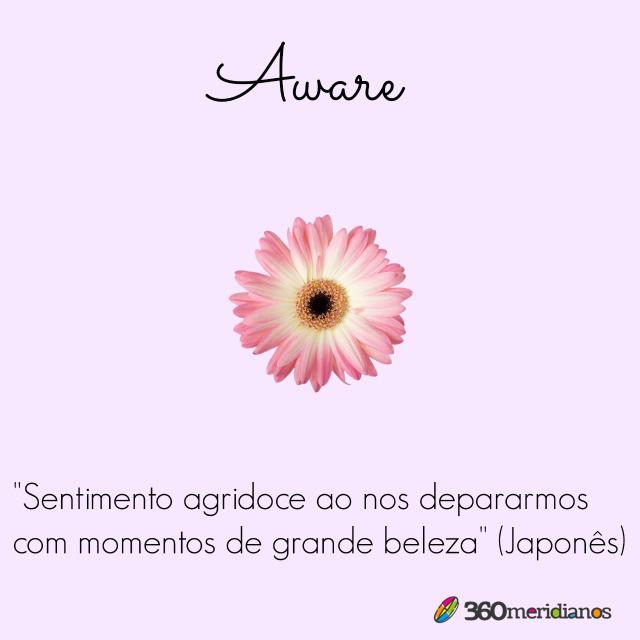 aware - Palavras intraduzíveis