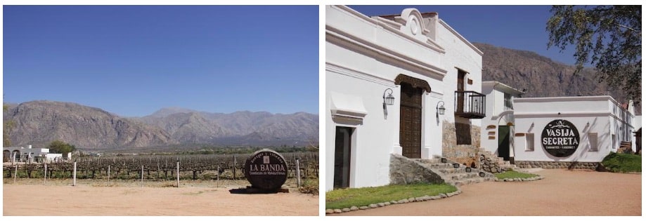 Vinicolas de Cafayate - Argentina 