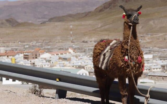 Dicas de viagem para Salta e Jujuy