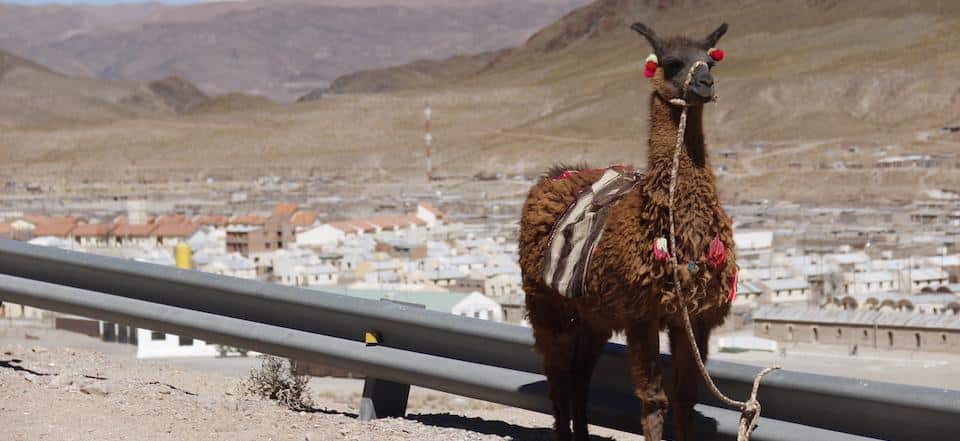 Dicas de viagem para Salta e Jujuy