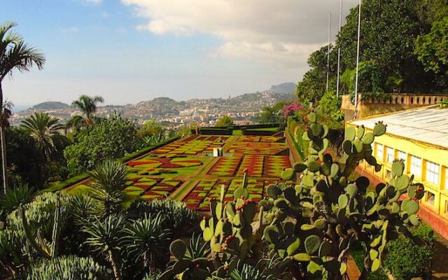funchal ilha da madeira