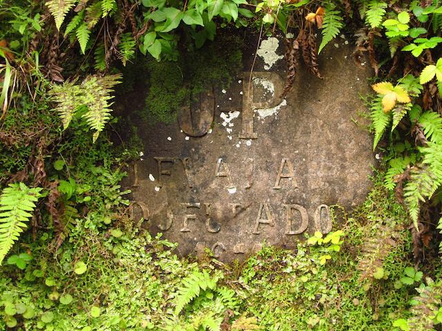 Levada da Madeira 