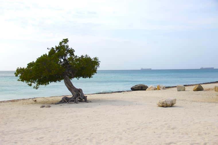 Eagle Beach - Aruba