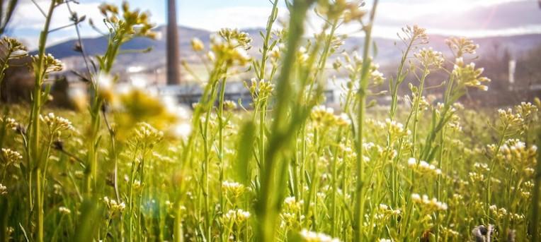 14 destinos que promovem o turismo sustentável