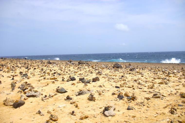 Jardim dos desejos, Aruba