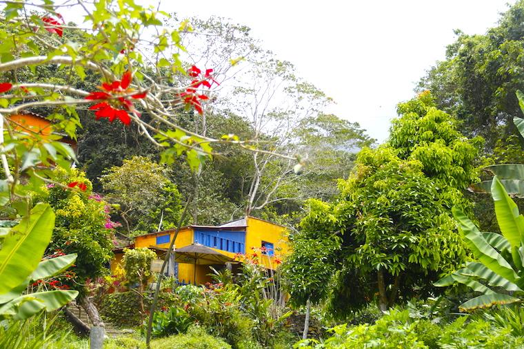 Parque Nacional El Avila, Venezuela